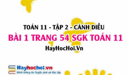 Bài 1 trang 54 Toán 11 tập 2 Cánh Diều